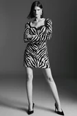 Zebra Printed Sleeved Mini Dress