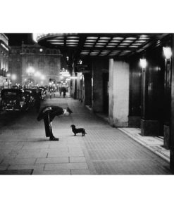 "COMMISSIONAIRE'S DOG" FROM GETTY IMAGES