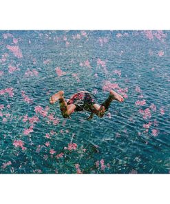 "DIVING INTO PINK FLOWERS" FROM GETTY IMAGES
