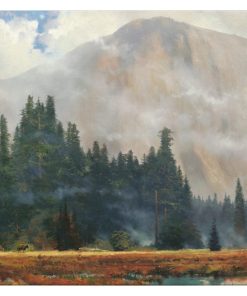 Yosemite Meadow - 16" x 31" Gallery Wrapped Canvas